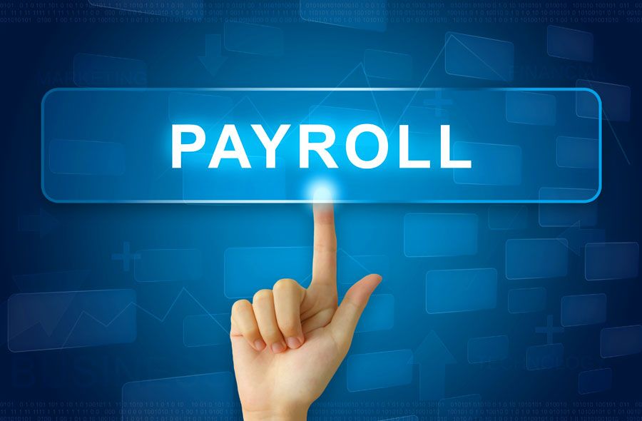 Payroll Services For Landscaping Company's